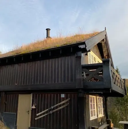 Hytte I Rauland Skisenter Ski In Out Feriehus